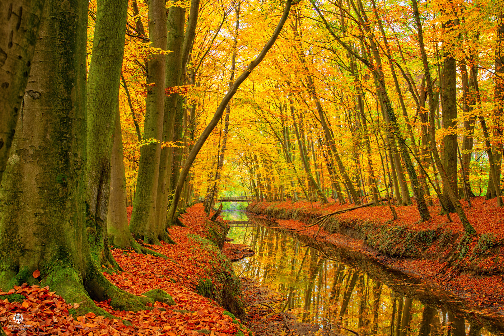 Herbst ist gekommen