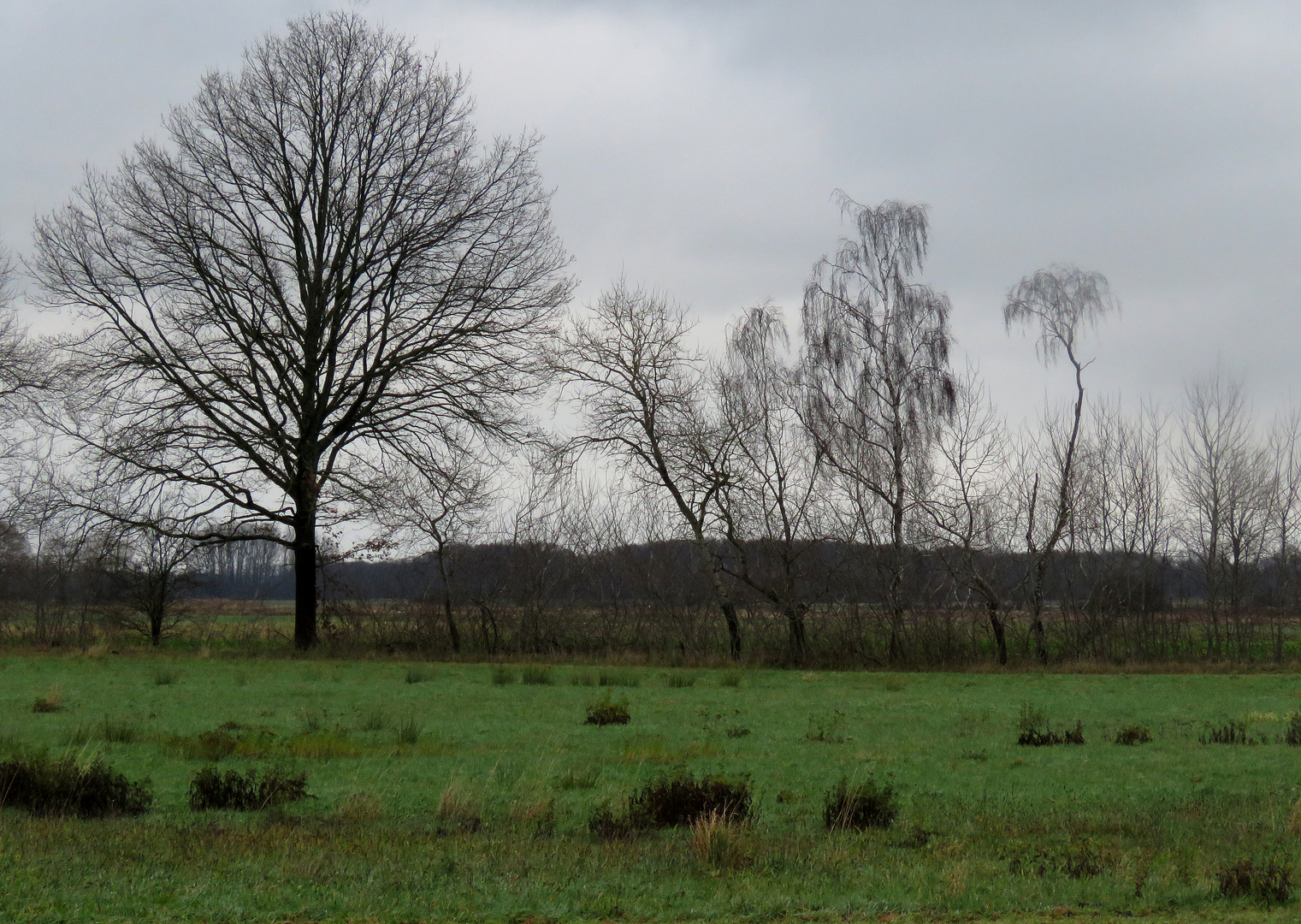 Herbst ist gekommen, Frühling ist weit,