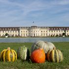 Herbst ist Kürbiszeit