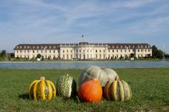 Herbst ist Kürbiszeit