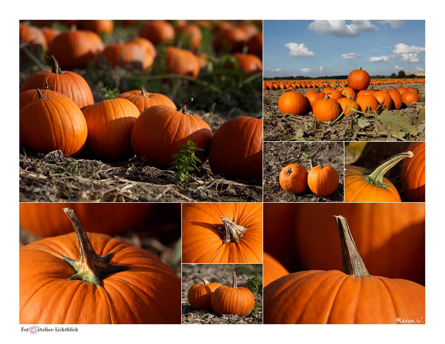 Herbst ist Kürbiszeit