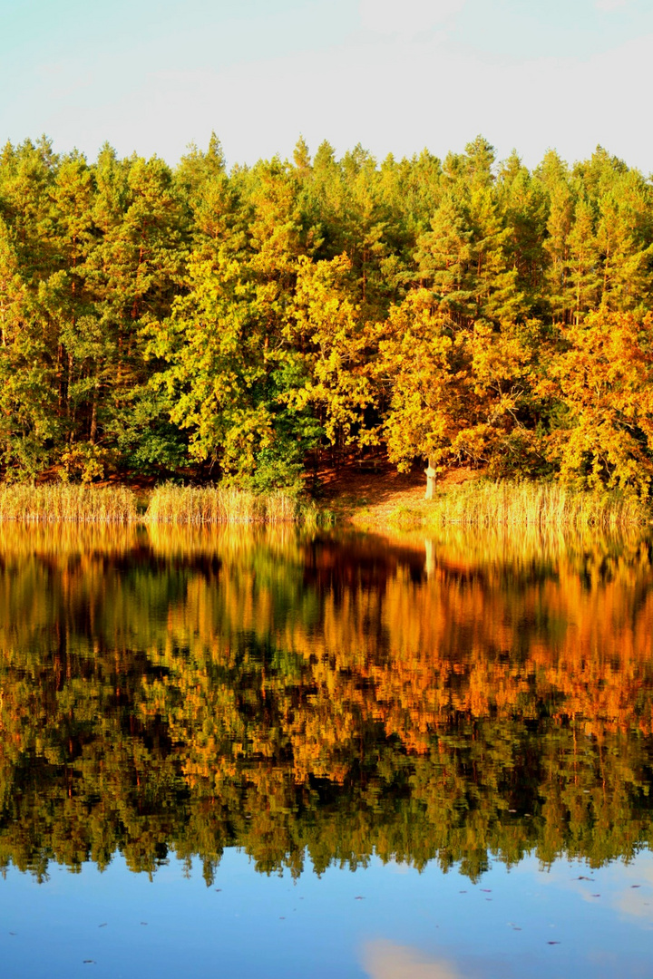 Herbst ist nur einmal im Jahr