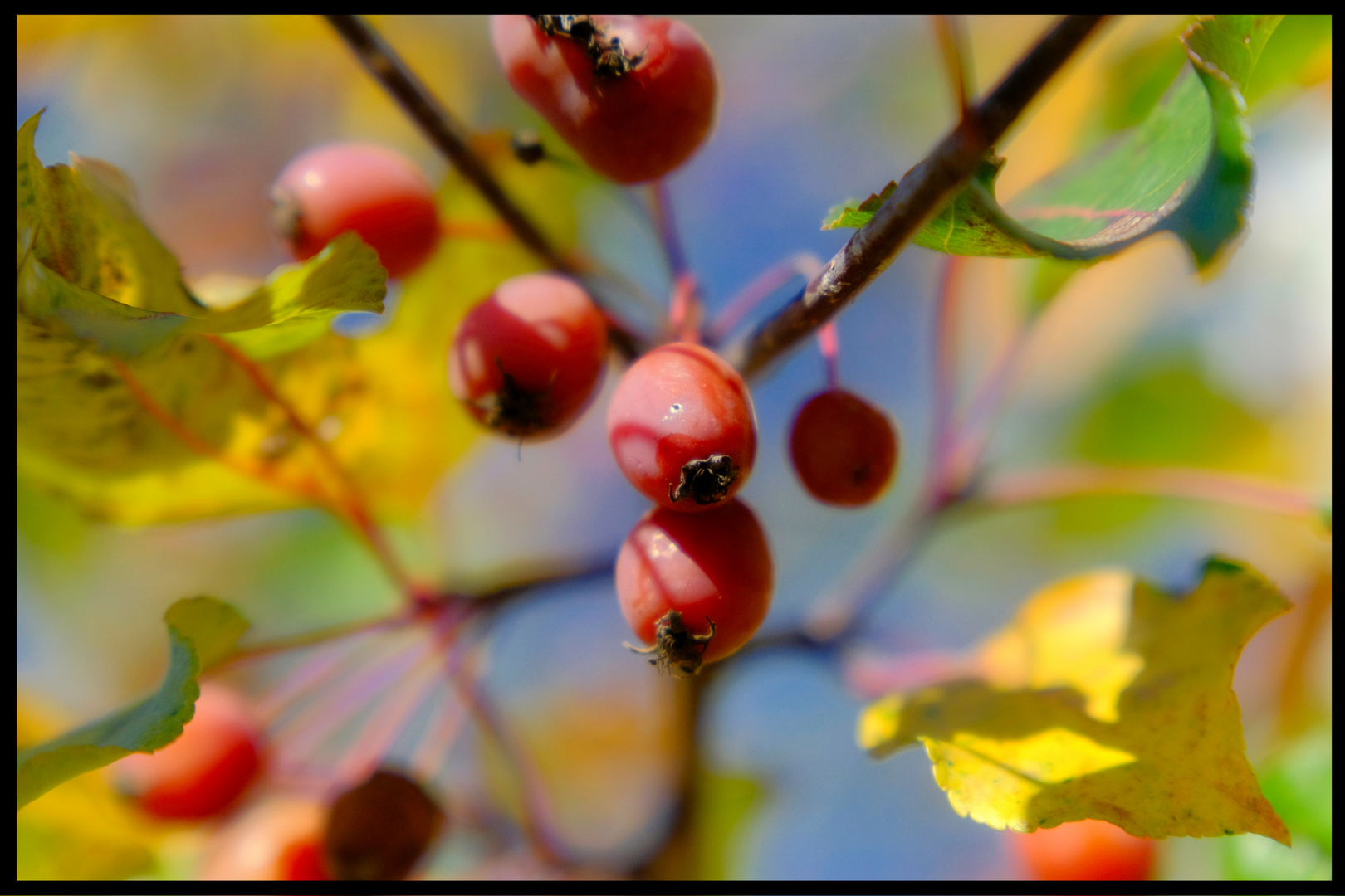 "Herbst ist Punk"