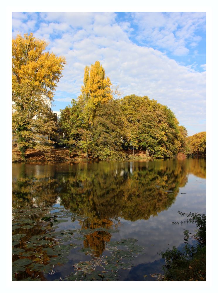 Herbst ist schön!