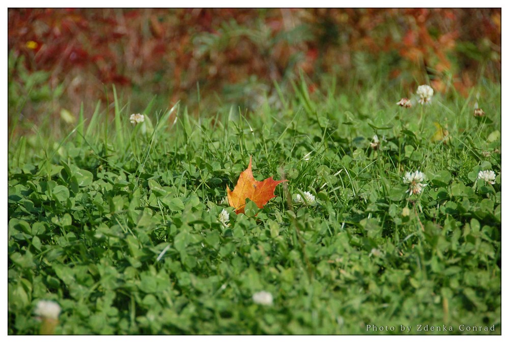 *Herbst ist wieder da*