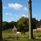 Herbst ist zu uns gekommen.