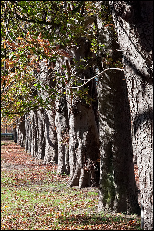 Herbst IV