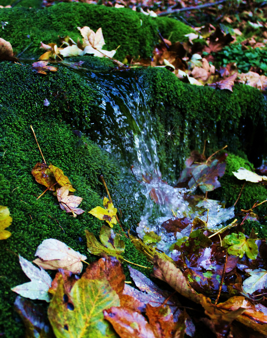 Herbst - kaltes klares Wasser... Thüringen