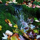 Herbst - kaltes klares Wasser... Thüringen
