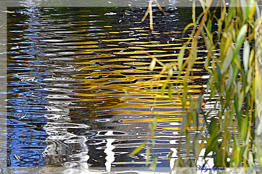 HERBST- Kanal Wasser