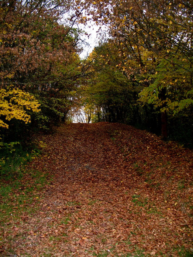 Herbst kann so schön sein :)