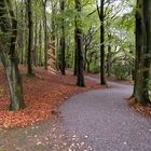 Herbst kann so schön sein