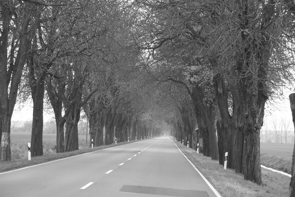 Herbst kann so schön sein3