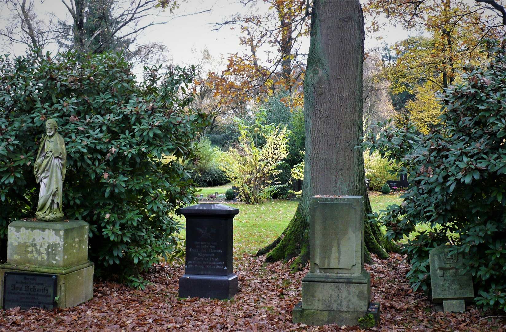 - herbst kehrt ein auf dem alten friedhof -