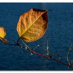 Herbst klassisch