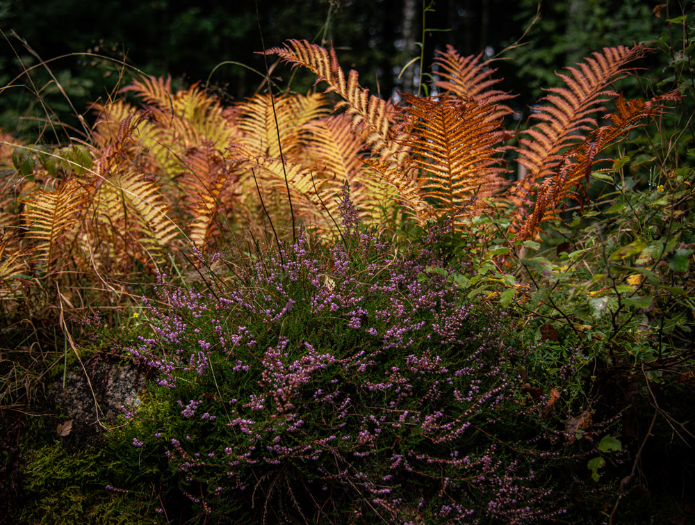 Herbst klopft an