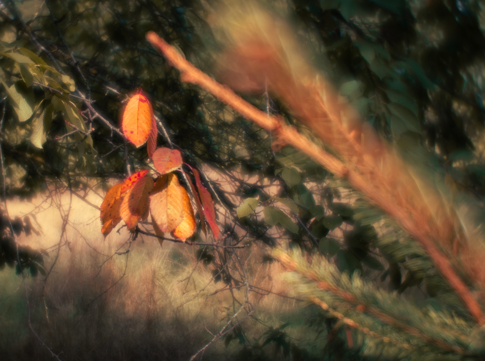 Herbst klopft zaghaft an