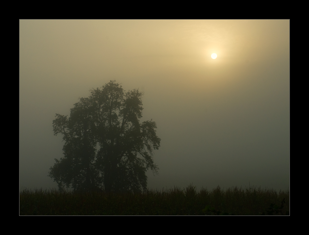 Herbst * kommt ...