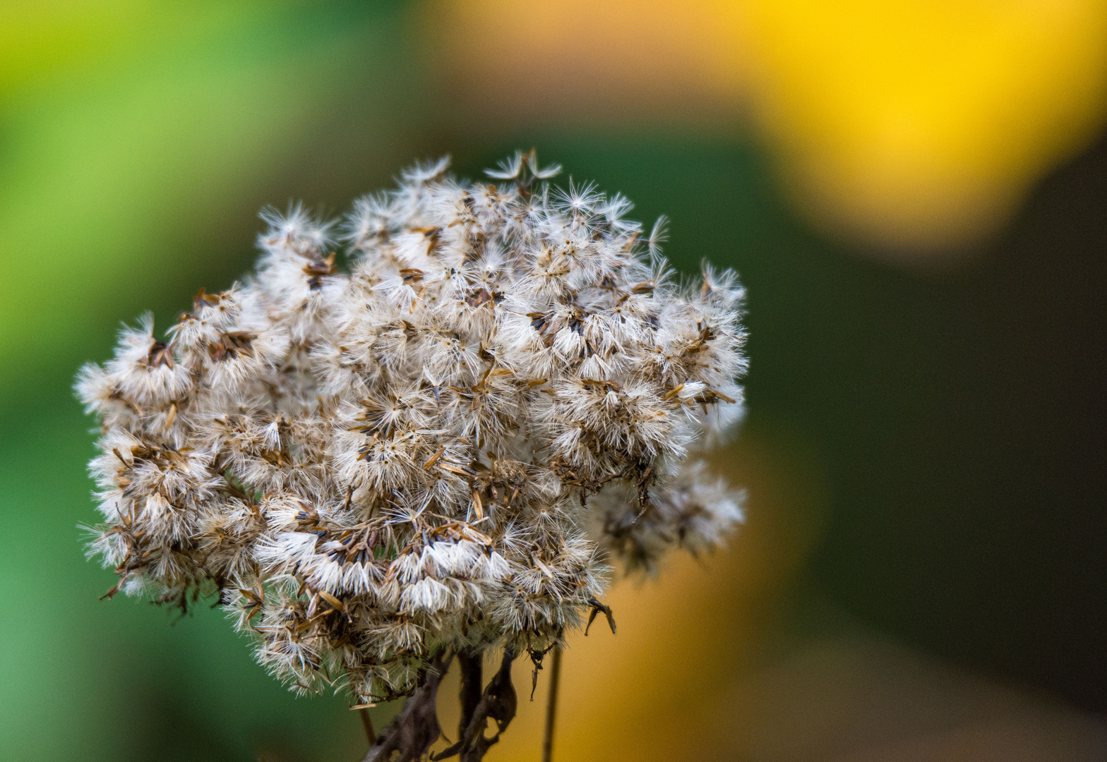 Herbst kommt