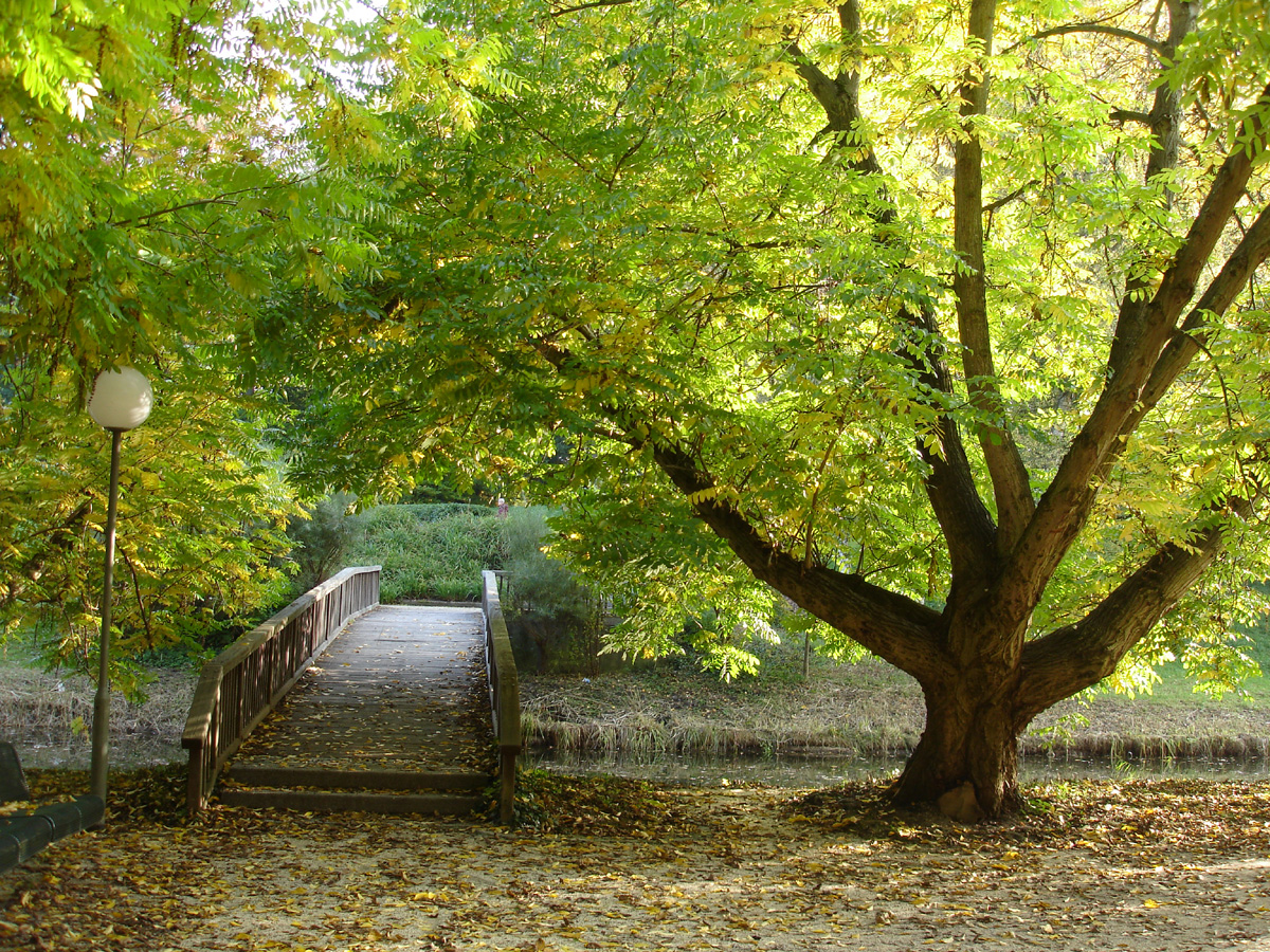 Herbst kommt in