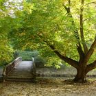 Herbst kommt in