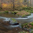 Herbst Kremstal