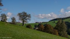 Herbst kündigt sich an ...