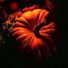 Herbst - Kürbis