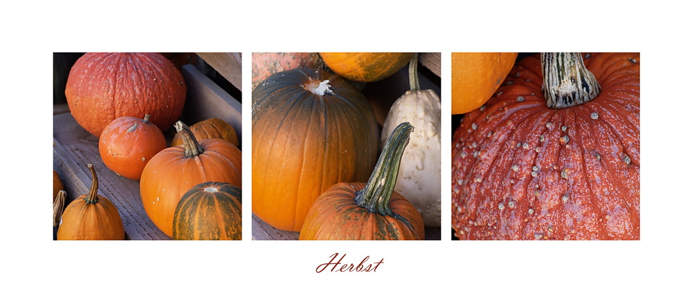 Herbst Kürbisse