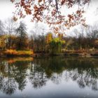 Herbst kurz vor Toresschluss