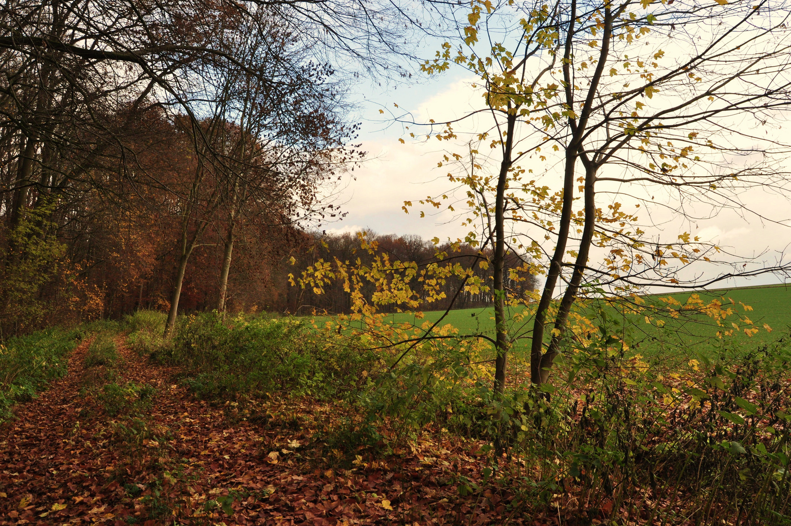 Herbst lacht uns freundlich an