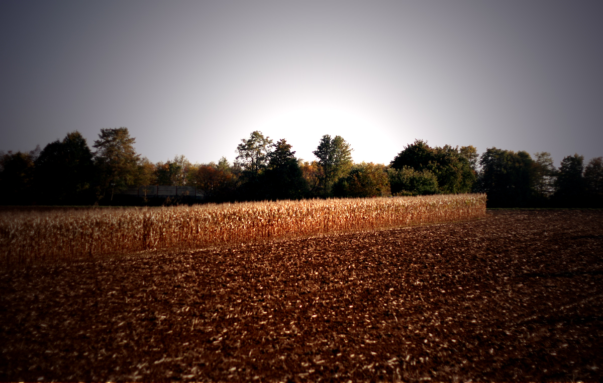 - Herbst läßt grüßen 02 -