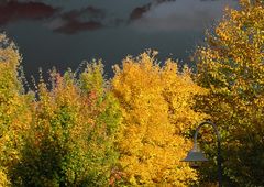 Herbst lässt sein gülden Band wieder flattern durch die Lüfte . . .