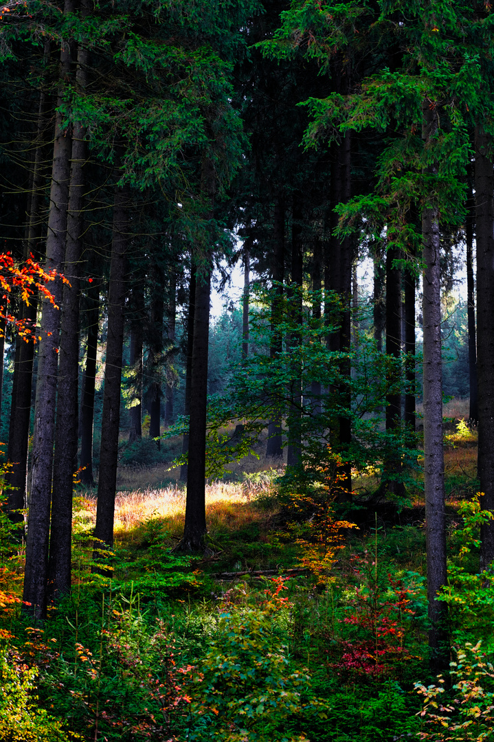 Herbst lässt staunen