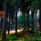 Herbst lässt staunen