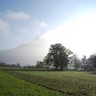 Herbst Landschaft