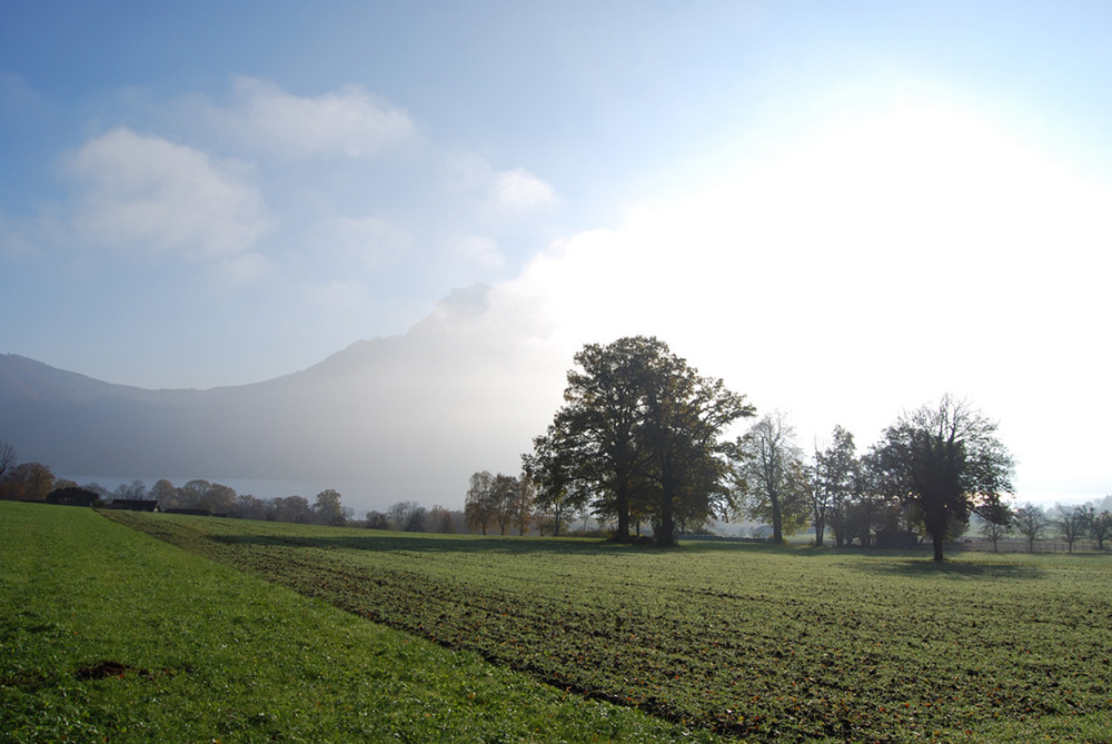 Herbst Landschaft