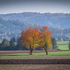 Herbst-Landschaft