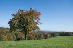 Herbst-Landschaft