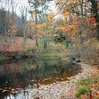 Herbst-Landschaft 2