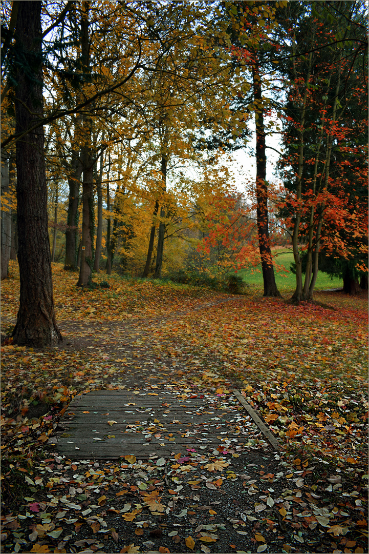 Herbst-Landschaft 3