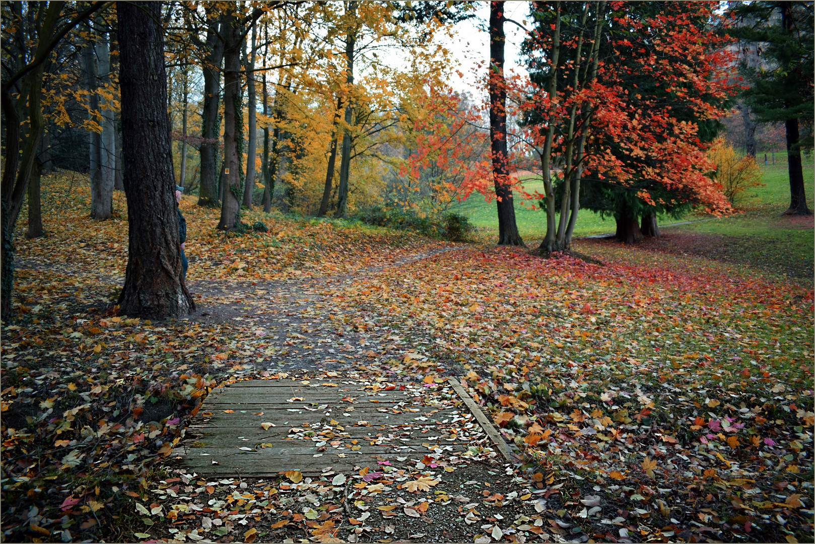 Herbst-Landschaft 4