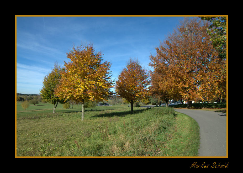 Herbst Landschaft