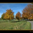 Herbst Landschaft