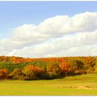 Herbst Landschaft