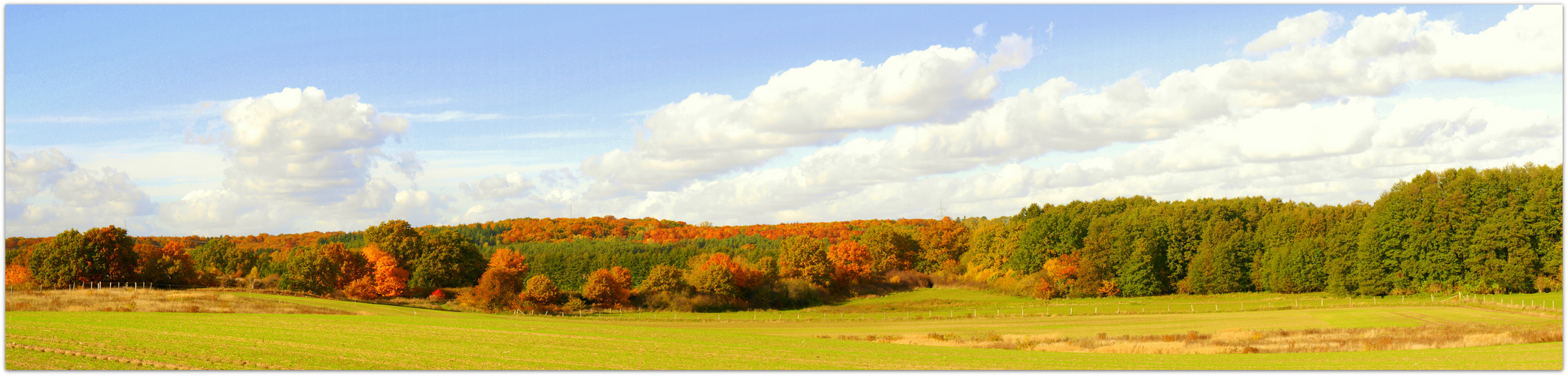 Herbst Landschaft