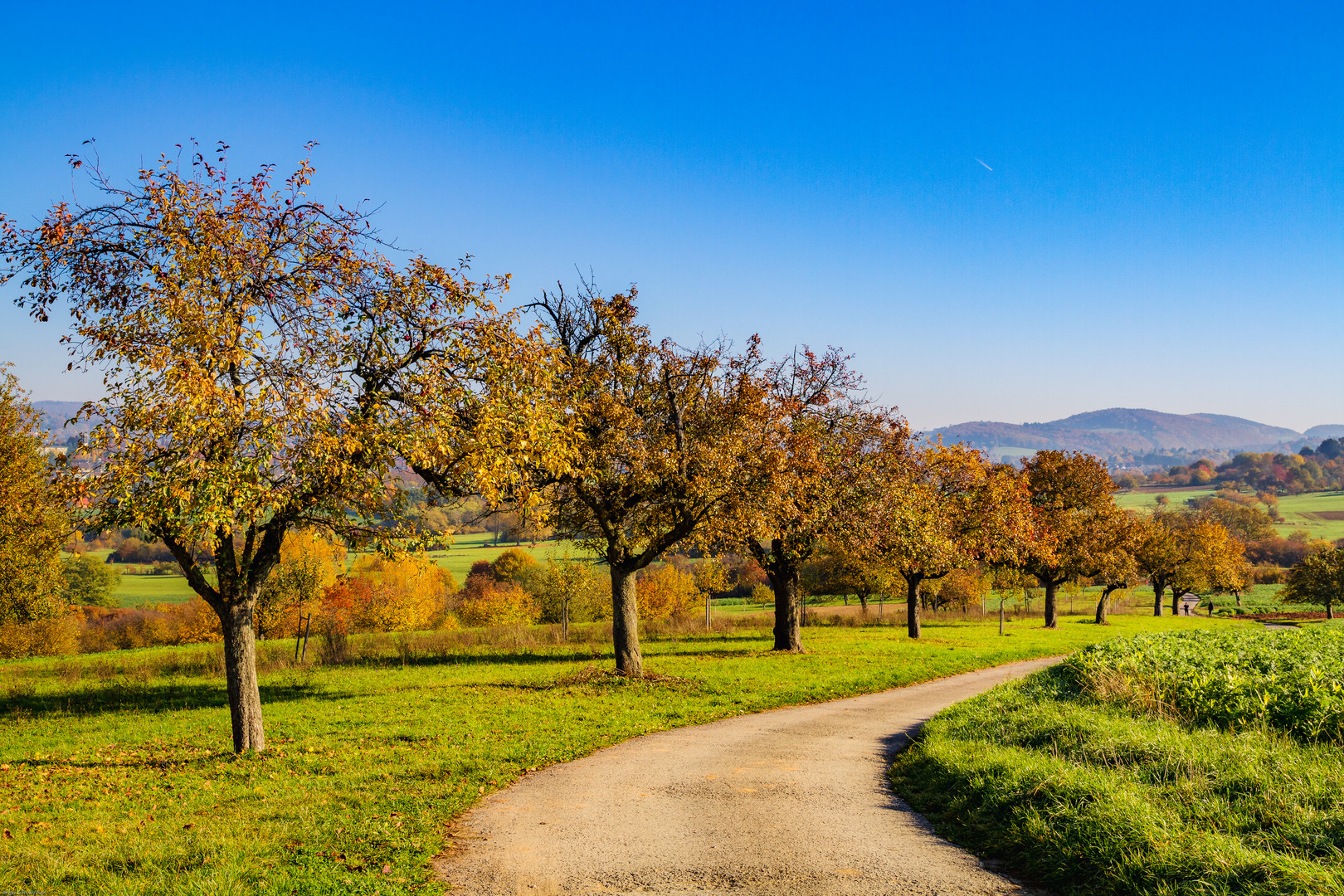 Herbst-Landschaft