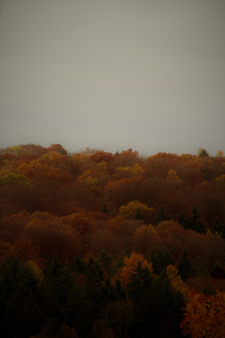 Herbst Landschaften 2