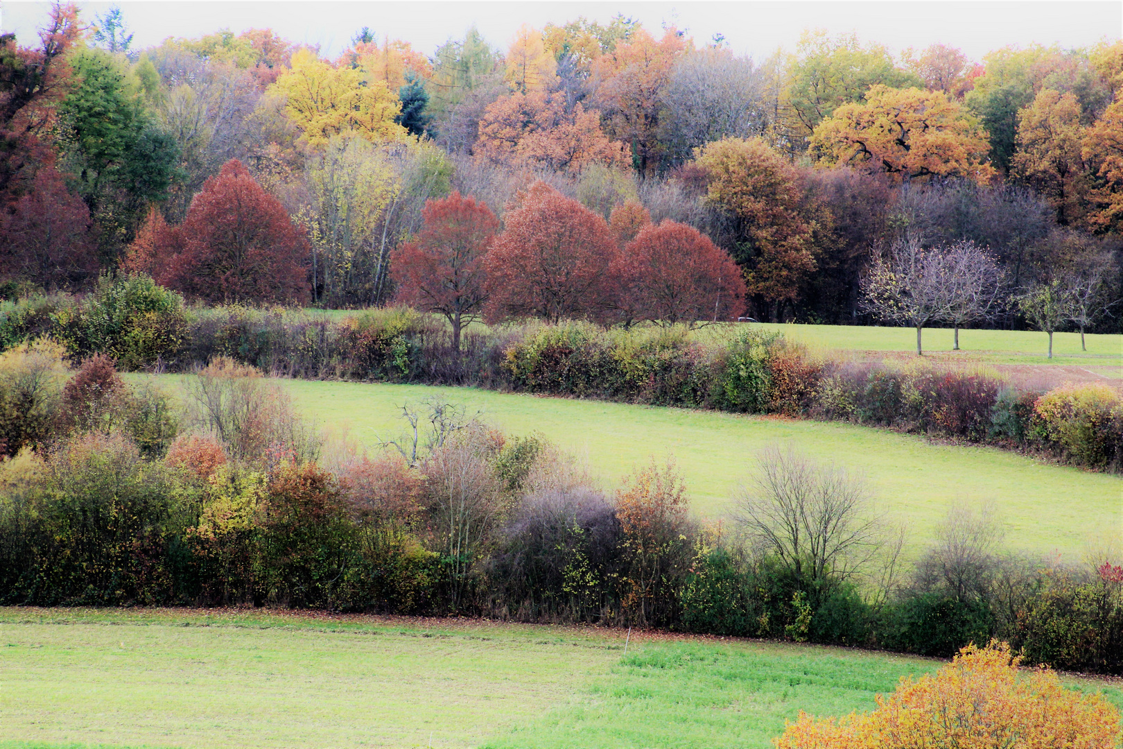 Herbst Landschaften 