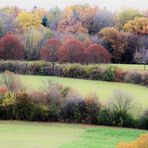 Herbst Landschaften 